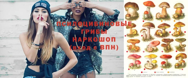 прущая мука Вязьма