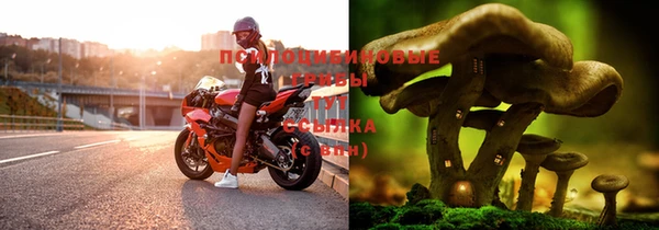 прущая мука Бугульма