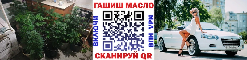 KRAKEN зеркало  Дмитровск  ТГК Wax 