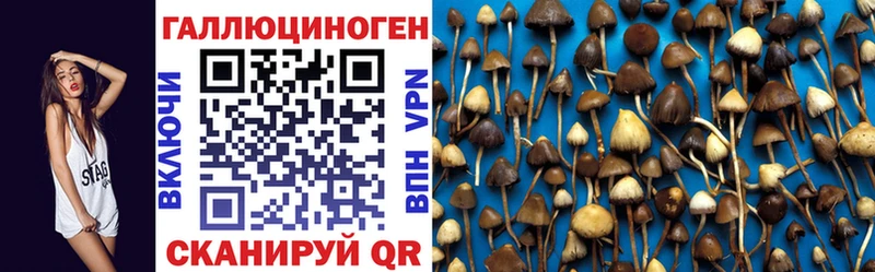 закладка  Дмитровск  Галлюциногенные грибы GOLDEN TEACHER 